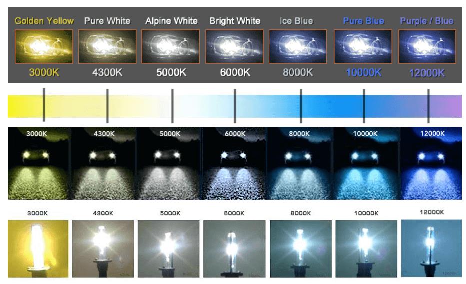 Torchbeam D3S/D3R LED Light Bulbs 45W 22000 Lumens 8000K Ice Blue (Pair)